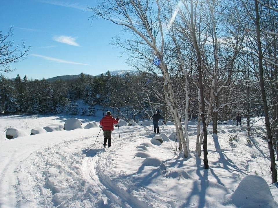 Sentiers de ski de fond